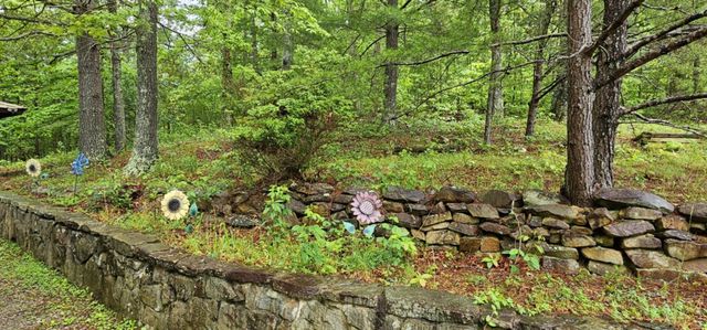 200 Peachtree Lane, Tellico Plains, TN 37385