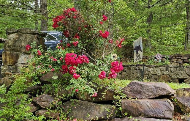200 Peachtree Lane, Tellico Plains, TN 37385