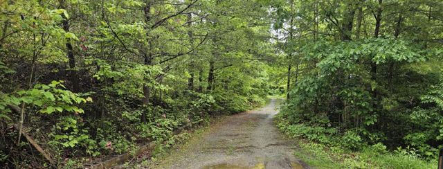 200 Peachtree Lane, Tellico Plains, TN 37385
