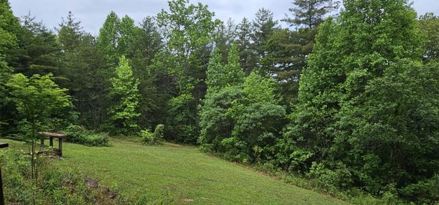 200 Peachtree Lane, Tellico Plains, TN 37385