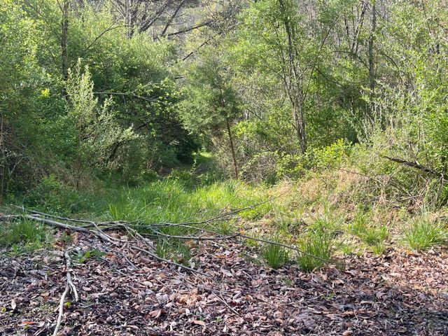 9999 Eastridge Branch Road, Barbourville, KY 40906