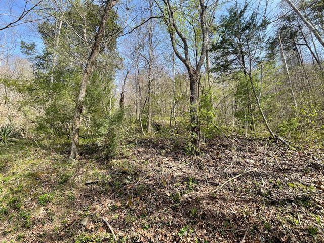 9999 Eastridge Branch Road, Barbourville, KY 40906