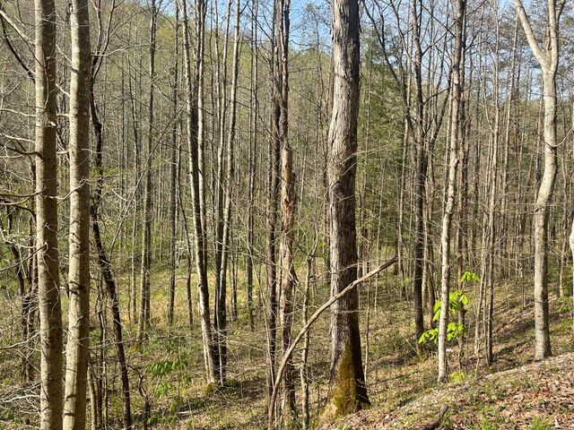 9999 Eastridge Branch Road, Barbourville, KY 40906