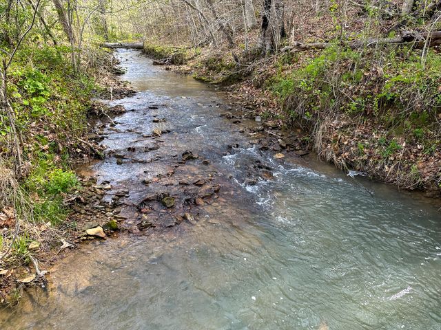 9999 Eastridge Branch Road, Barbourville, KY 40906