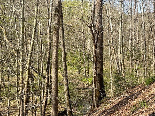 9999 Eastridge Branch Road, Barbourville, KY 40906