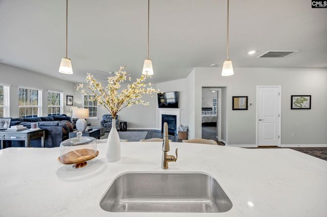 409 Layup Circle, Elgin, SC 29045