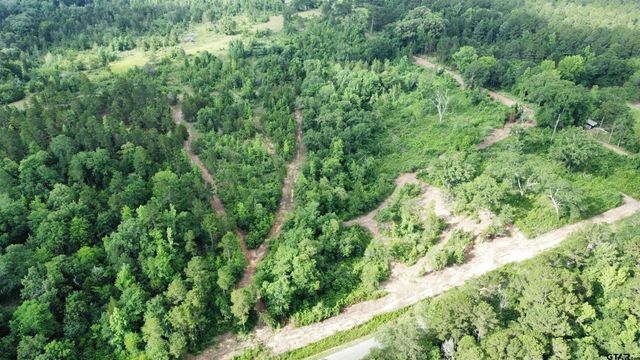 TBD CR 385, Tyler, TX 75708