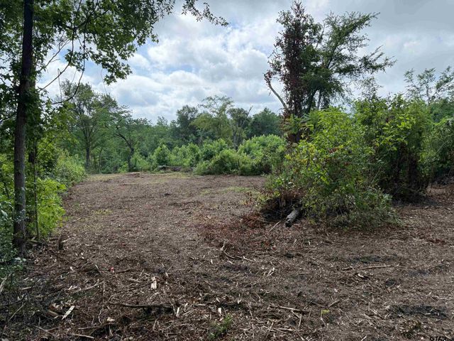 TBD CR 385, Tyler, TX 75708