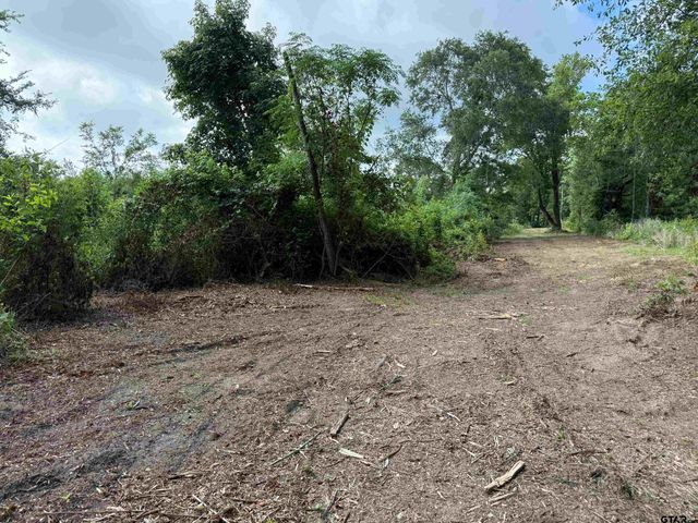 TBD CR 385, Tyler, TX 75708
