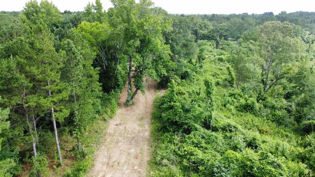 TBD CR 385, Tyler, TX 75708