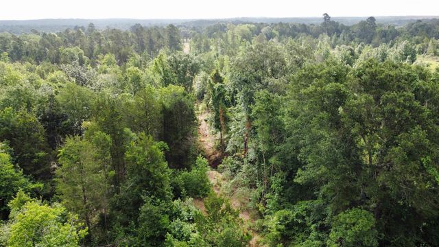 TBD CR 385, Tyler, TX 75708