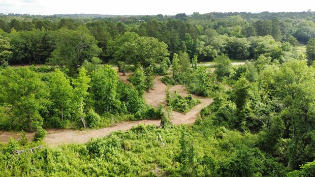 TBD CR 385, Tyler, TX 75708
