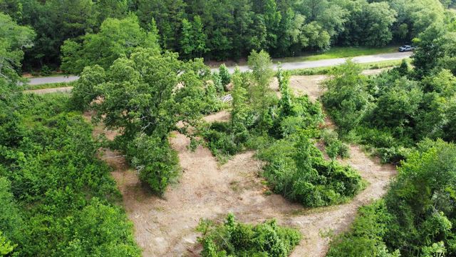 TBD CR 385, Tyler, TX 75708