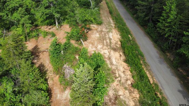 TBD CR 385, Tyler, TX 75708