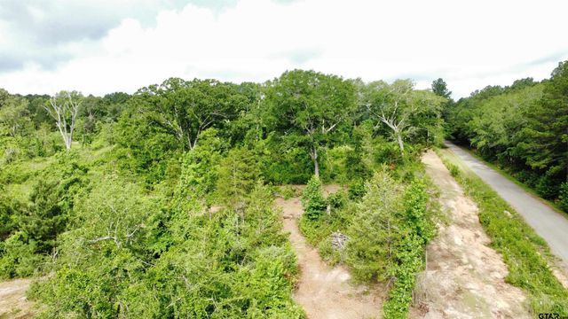 TBD CR 385, Tyler, TX 75708