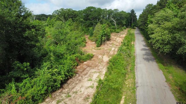 TBD CR 385, Tyler, TX 75708
