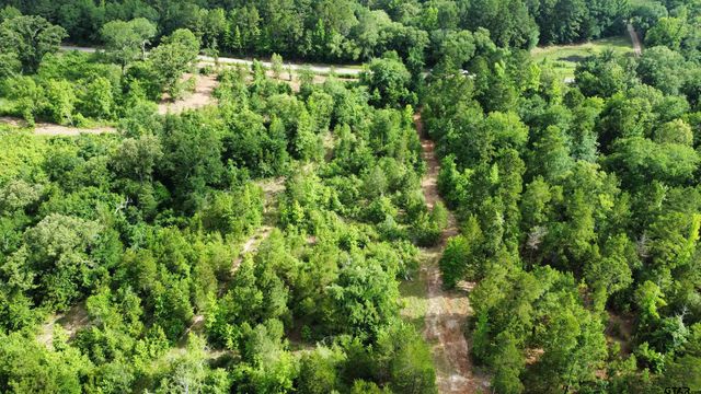 TBD CR 385, Tyler, TX 75708