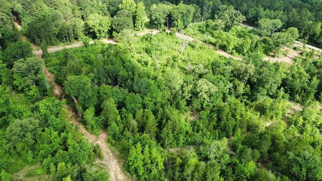 TBD CR 385, Tyler, TX 75708