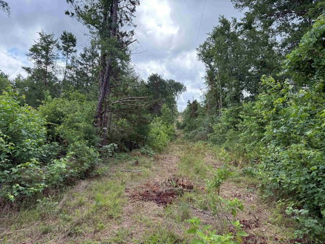 TBD CR 385, Tyler, TX 75708