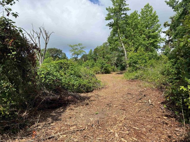 TBD CR 385, Tyler, TX 75708