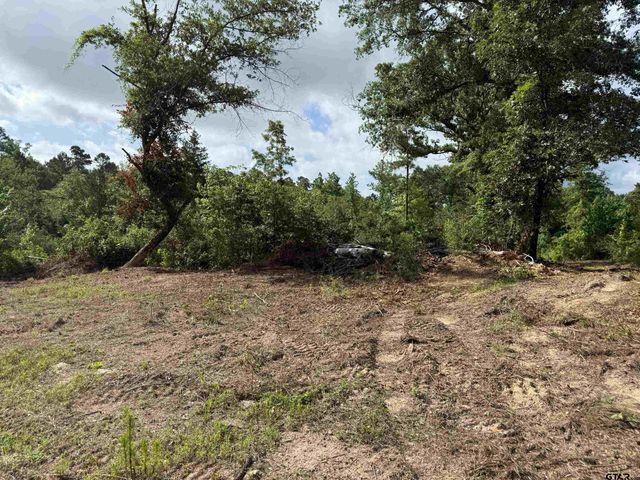 TBD CR 385, Tyler, TX 75708