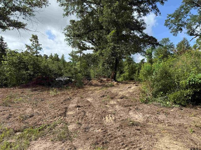 TBD CR 385, Tyler, TX 75708