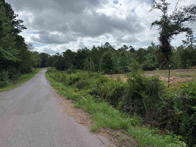 TBD CR 385, Tyler, TX 75708
