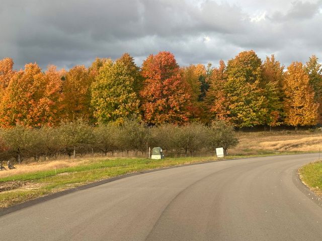 Parcel 6 Karnes Road, Glen Arbor, MI 49636