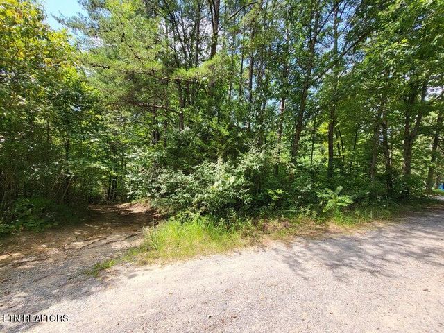 0 Bowater Rd, Pikeville, TN 37367