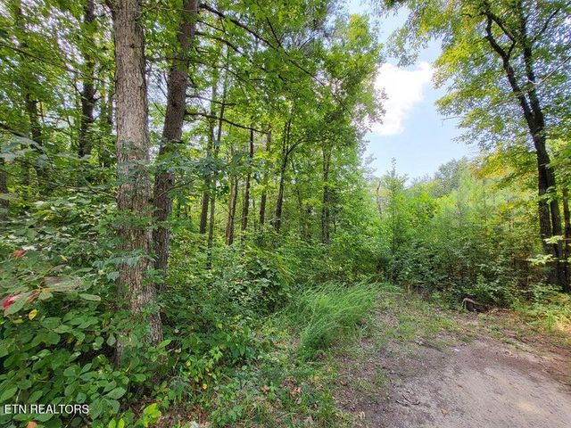 0 Bowater Rd, Pikeville, TN 37367