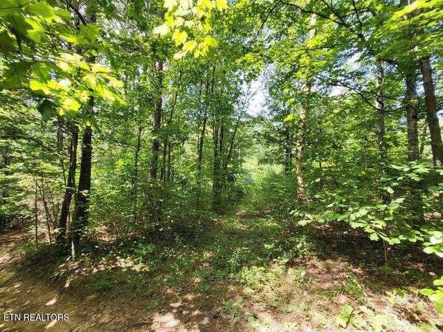 0 Bowater Rd, Pikeville, TN 37367