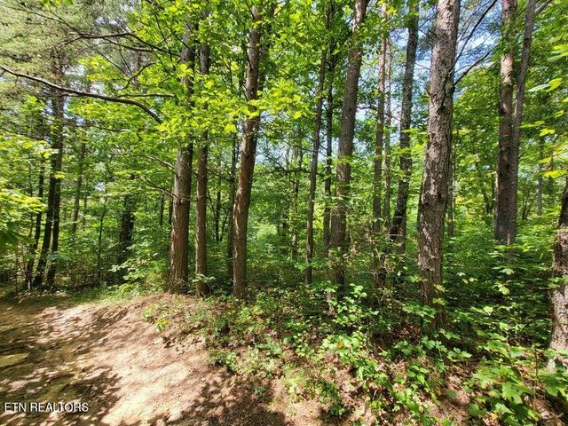 0 Bowater Rd, Pikeville, TN 37367