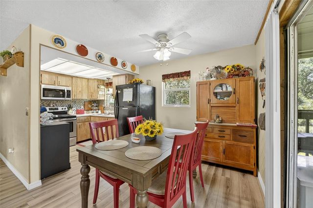 205 WENDEL AVENUE, Lithia, FL 33547