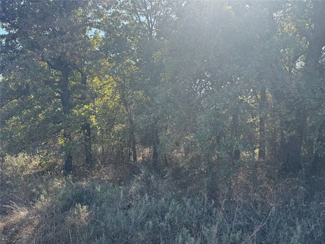 2139 Two Bush Road, Perrin, TX 76487