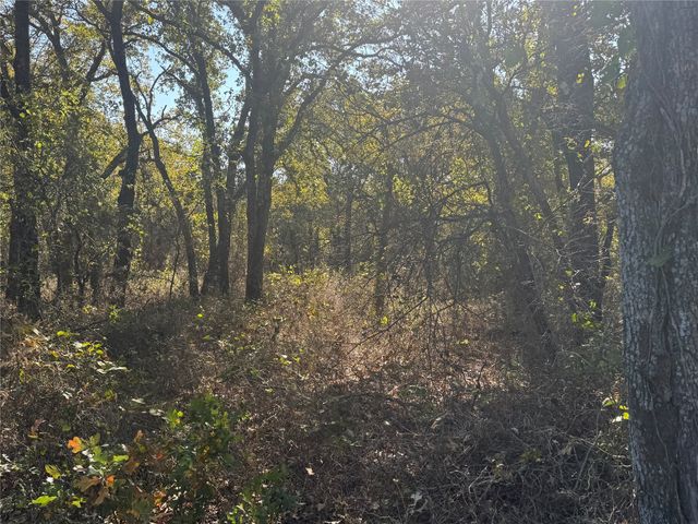 2139 Two Bush Road, Perrin, TX 76487