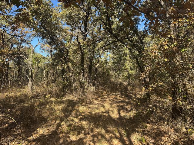 2139 Two Bush Road, Perrin, TX 76487