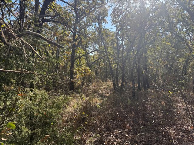 2139 Two Bush Road, Perrin, TX 76487