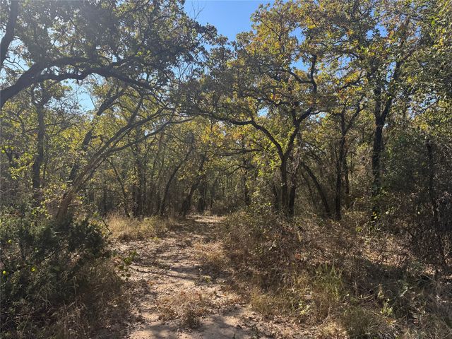 2139 Two Bush Road, Perrin, TX 76487