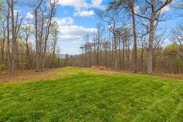 155 TURKEY, Middletown, VA 22645
