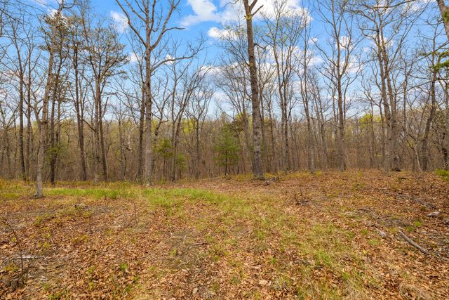 155 TURKEY, Middletown, VA 22645