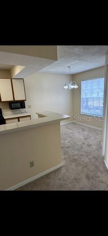 1017 S HIAWASSEE ROAD 3725, Orlando, FL 32835
