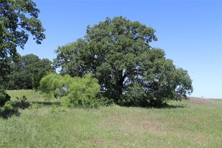 73 Acres West Deer Creek Rd, Henrietta, TX 76365