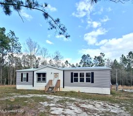 26004 Bowfin Drive, Perkinston, MS 39573