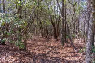 Lot 14 Lakeside Drive, Lake Toxaway, NC 28747