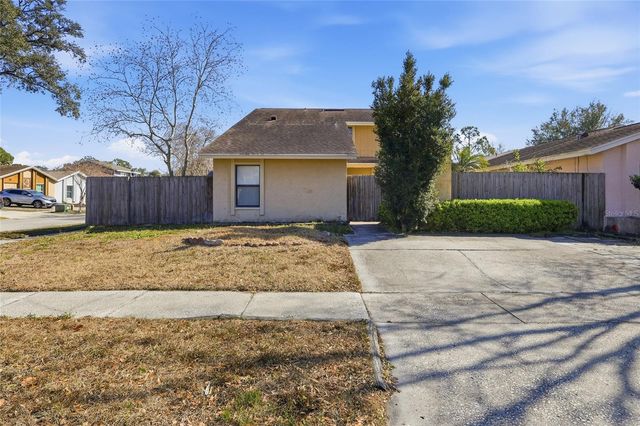 10311 ROSEMOUNT DRIVE, Tampa, FL 33624