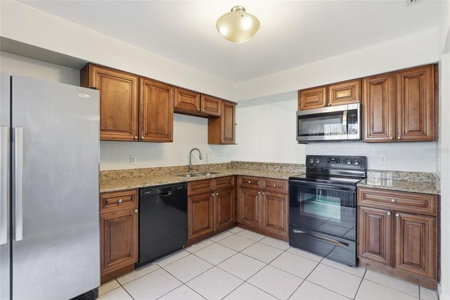 10311 ROSEMOUNT DRIVE, Tampa, FL 33624