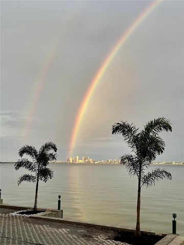 4950 BAYSHORE BOULEVARD 22, Tampa, FL 33611