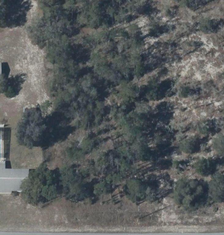 Tbd SW Zinnia Court, Dunnellon, FL 34431
