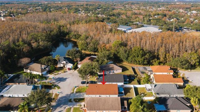 29233 BIRDS EYE DRIVE, Wesley Chapel, FL 33543