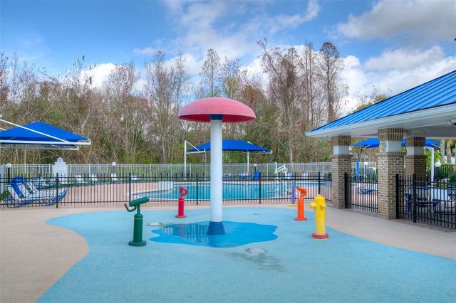 29233 BIRDS EYE DRIVE, Wesley Chapel, FL 33543